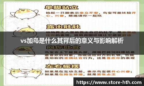 vs加鸟是什么其背后的意义与影响解析